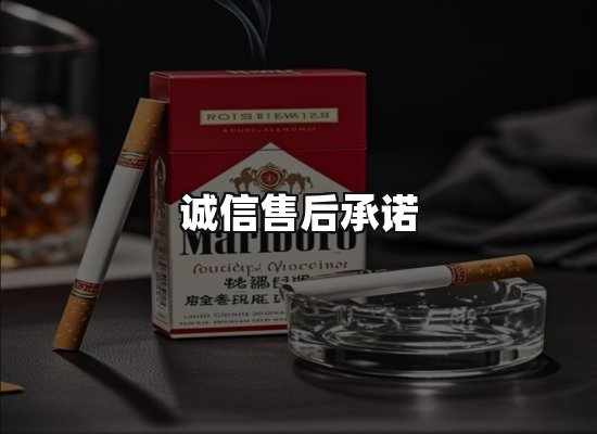 专业优势